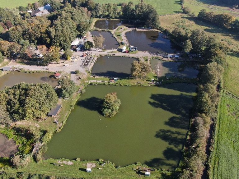 Teichbelegung Toniforellis Anglerparadies Oldenburg